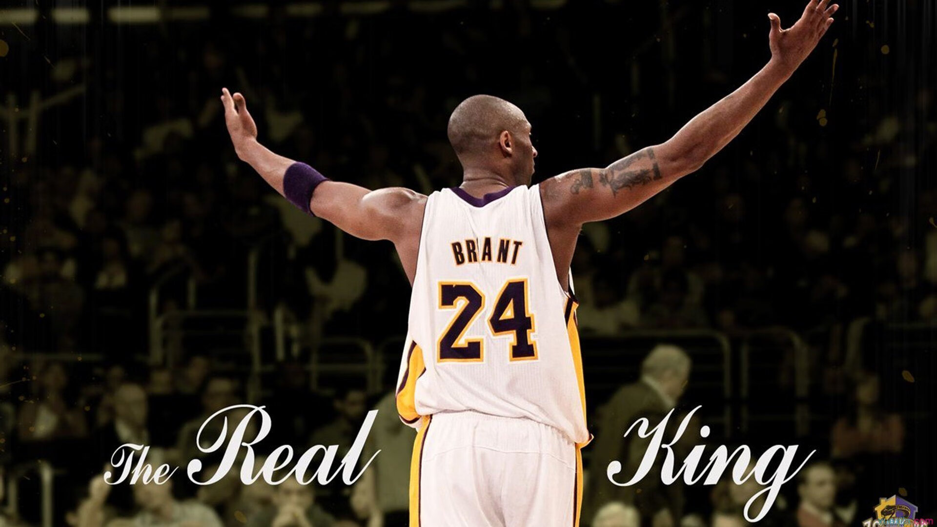 体育赛事观众年龄结构数据